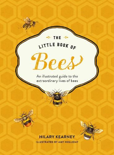 Cover image for The Little Book of Bees