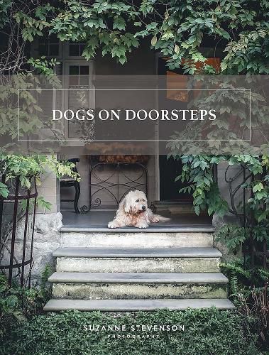 Cover image for Dogs on Doorsteps
