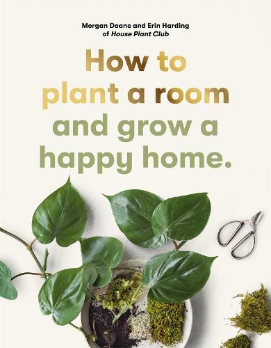 Cover image for How to Plant a Room