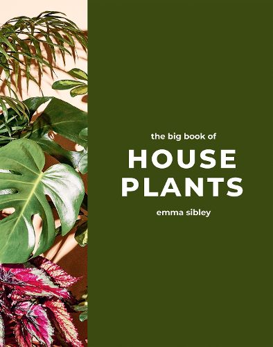 Cover image for The Big Book of House Plants