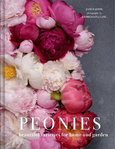Cover image for Peonies