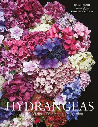 Cover image for Hydrangeas