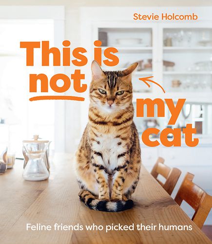 Cover image for This is not my cat