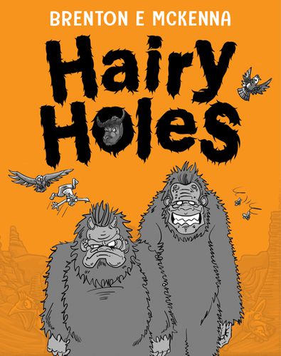 Cover image for Hairy Holes