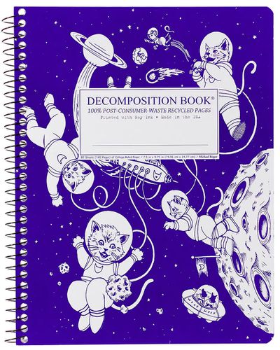 Cover image for Decomposition Spiral Notebook Kittens In Space